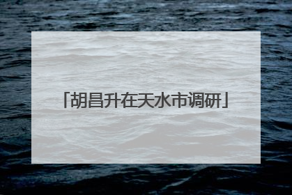 胡昌升在天水市调研