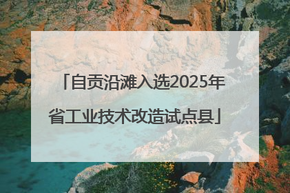自贡沿滩入选2025年省工业技术改造试点县