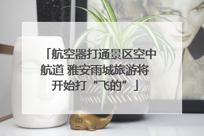 航空器打通景区空中航道 雅安雨城旅游将开始打“飞的”