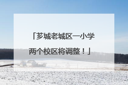 芗城老城区一小学两个校区将调整！