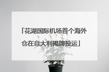 花湖国际机场首个海外仓在意大利揭牌投运