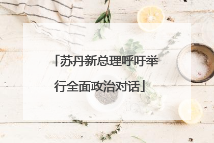 苏丹新总理呼吁举行全面政治对话