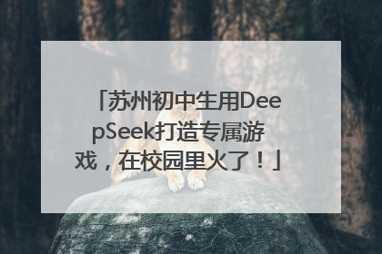 苏州初中生用DeepSeek打造专属游戏，在校园里火了！