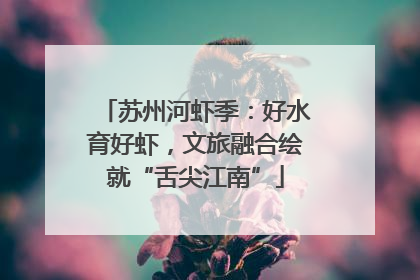 苏州河虾季：好水育好虾，文旅融合绘就“舌尖江南”
