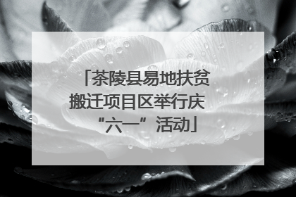 茶陵县易地扶贫搬迁项目区举行庆“六一”活动