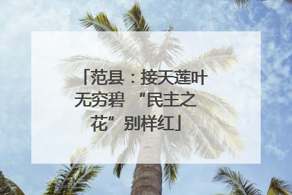 范县：接天莲叶无穷碧 “民主之花”别样红