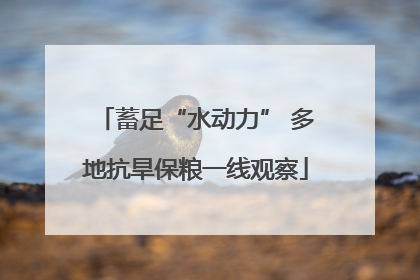 蓄足“水动力” 多地抗旱保粮一线观察