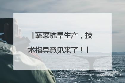 蔬菜抗旱生产，技术指导意见来了！
