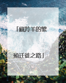 藏羚羊的繁殖迁徙之路