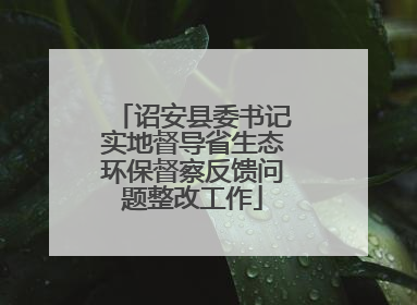 诏安县委书记实地督导省生态环保督察反馈问题整改工作
