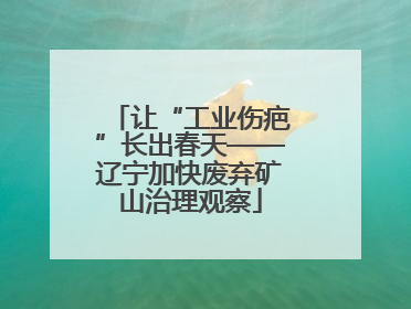 让“工业伤疤”长出春天——辽宁加快废弃矿山治理观察