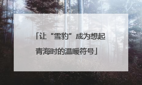 让“雪豹”成为想起青海时的温暖符号