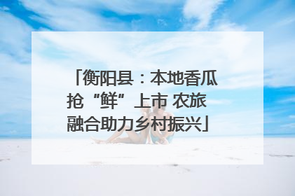 衡阳县：本地香瓜抢“鲜”上市 农旅融合助力乡村振兴