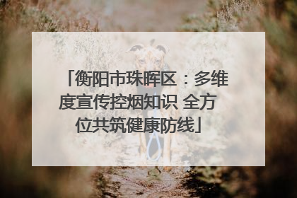 衡阳市珠晖区：多维度宣传控烟知识 全方位共筑健康防线