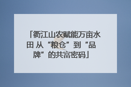 衢江山农赋能万亩水田 从“粮仓”到“品牌”的共富密码