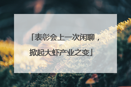 表彰会上一次闲聊，掀起大虾产业之变