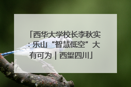 西华大学校长李秋实：乐山“智慧低空”大有可为｜西望四川