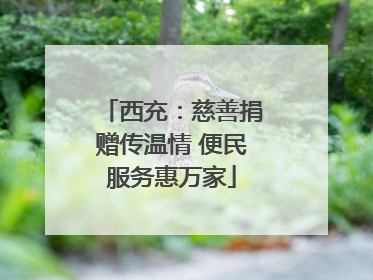 西充：慈善捐赠传温情 便民服务惠万家