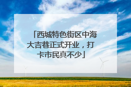 西城特色街区中海大吉巷正式开业，打卡市民真不少