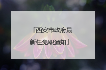 西安市政府最新任免职通知