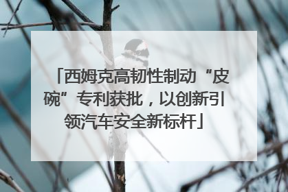 西姆克高韧性制动“皮碗”专利获批，以创新引领汽车安全新标杆
