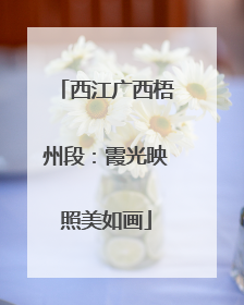 西江广西梧州段：霞光映照美如画