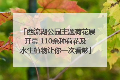 西流湖公园主题荷花展开幕 110余种荷花及水生植物让你一次看够