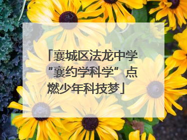 襄城区法龙中学“襄约学科学”点燃少年科技梦