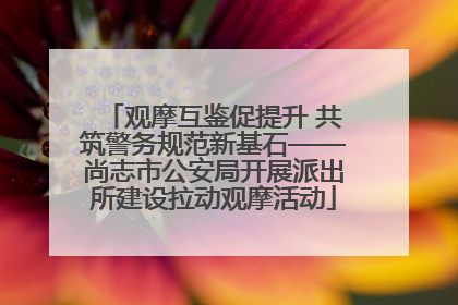 观摩互鉴促提升 共筑警务规范新基石——尚志市公安局开展派出所建设拉动观摩活动