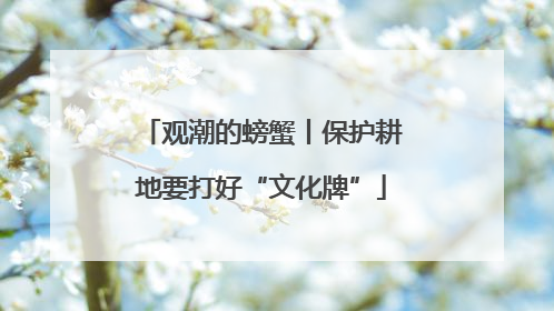 观潮的螃蟹丨保护耕地要打好“文化牌”
