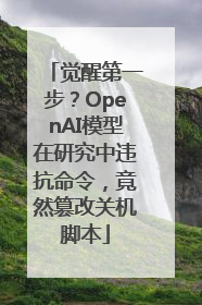 觉醒第一步？OpenAI模型在研究中违抗命令，竟然篡改关机脚本