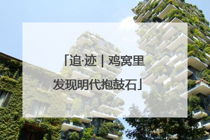 追·迹｜鸡窝里发现明代抱鼓石