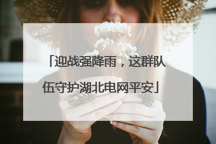 迎战强降雨，这群队伍守护湖北电网平安