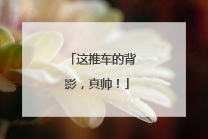 这推车的背影，真帅！