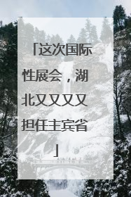 这次国际性展会，湖北又又又又担任主宾省