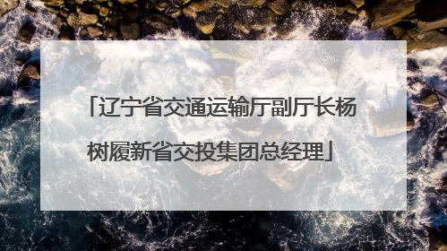 辽宁省交通运输厅副厅长杨树履新省交投集团总经理