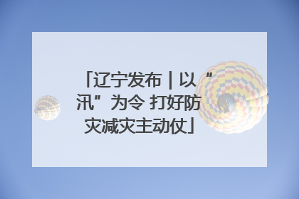 辽宁发布｜以“汛”为令 打好防灾减灾主动仗