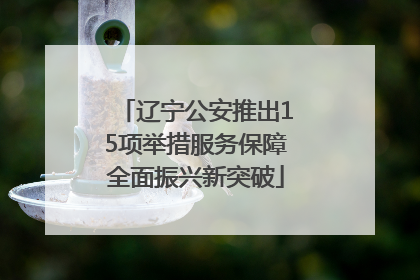 辽宁公安推出15项举措服务保障全面振兴新突破