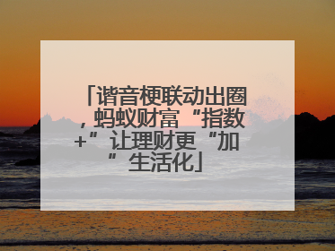 谐音梗联动出圈，蚂蚁财富“指数+”让理财更“加”生活化