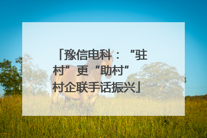 豫信电科：“驻村”更“助村” 村企联手话振兴