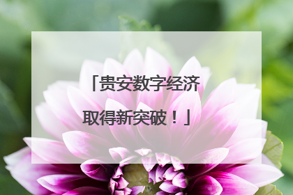 贵安数字经济取得新突破！
