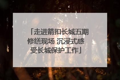 走进箭扣长城五期修缮现场 沉浸式感受长城保护工作