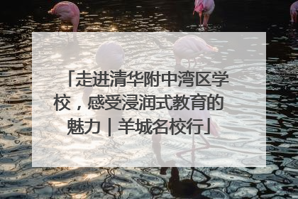 走进清华附中湾区学校，感受浸润式教育的魅力｜羊城名校行