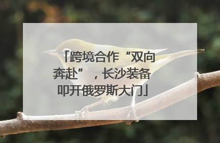 跨境合作“双向奔赴”，长沙装备叩开俄罗斯大门