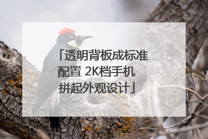 透明背板成标准配置 2K档手机拼起外观设计