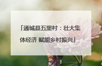 通城县五里村：壮大集体经济 赋能乡村振兴