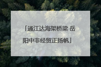 通江达海架桥梁 岳阳中非经贸正扬帆