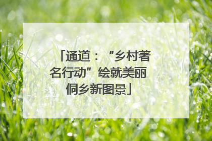 通道：“乡村著名行动”绘就美丽侗乡新图景