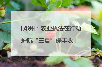 邓州：农业执法在行动 护航“三夏”保丰收