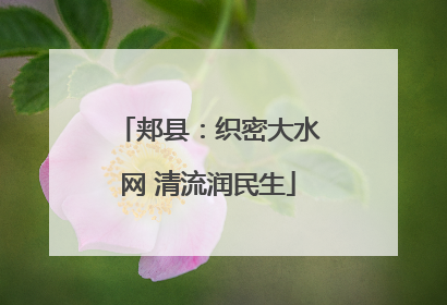 郏县：织密大水网 清流润民生